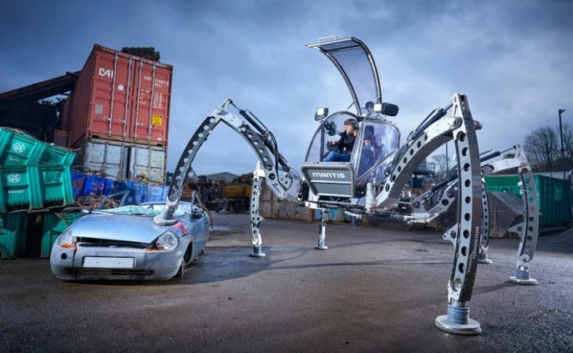 The oldest gymnast in the world and a huge walker: what have the authors of the Guinness Book of Records 2019 prepared for the public?