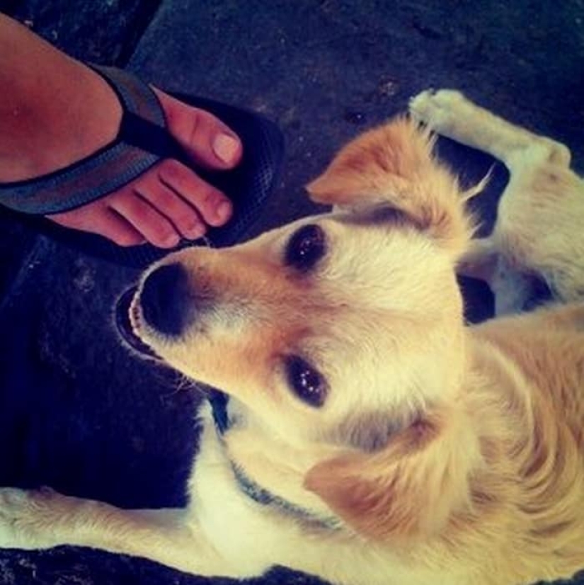 The oldest photos of its kind: from the first daguerreotype to the first post on Instagram The oldest photos of its kind: from the first daguerreotype to the first post on Instagram