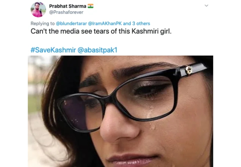 The Pakistani ambassador deprived the "Bald from Brazzers" of sight and became a target for ridicule
