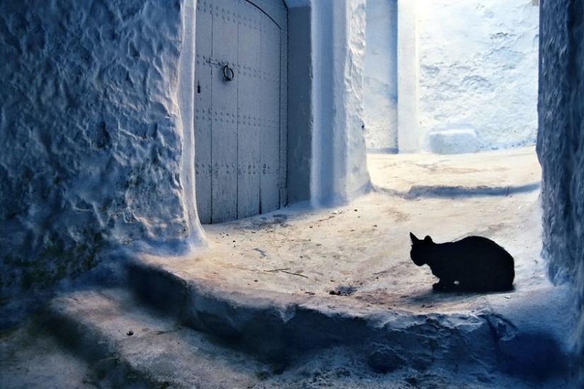 The photographer has been shooting for four years what is happening on a bench in the Ukrainian courtyard