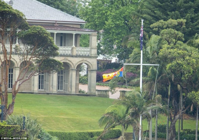 "The royal family is a cult, they're all obsessed": Prince Harry and Meghan Markle are expecting their first child, but not everyone is happy about it