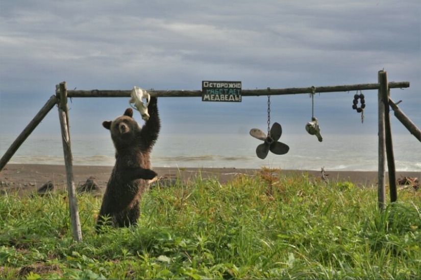 The Russian Geographical Society has determined the winners of the VII photo contest “The most beautiful country”