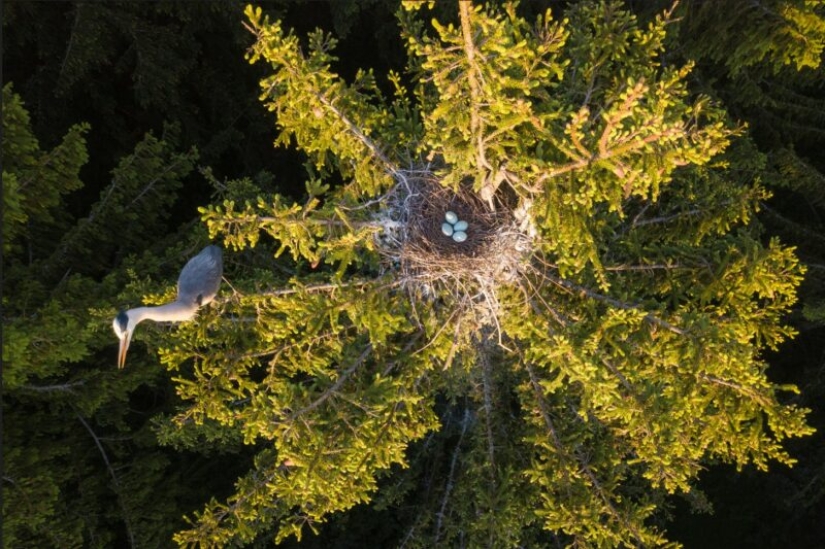 The Russian Geographical Society has determined the winners of the VII photo contest “The most beautiful country”