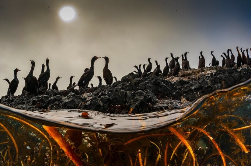 The Russian Geographical Society has determined the winners of the VII photo contest “The most beautiful country”