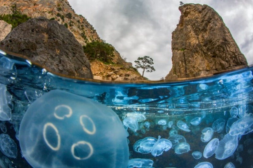 The Russian Geographical Society has determined the winners of the VII photo contest “The most beautiful country”