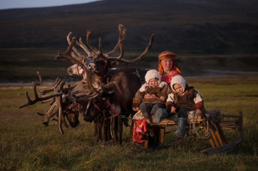 The Russian Geographical Society has determined the winners of the VII photo contest “The most beautiful country”