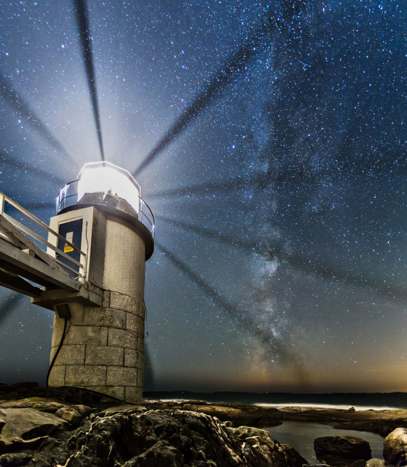 The seal got into the frame while the photographer was shooting the Milky Way The seal got into the frame while the photographer was shooting the Milky Way