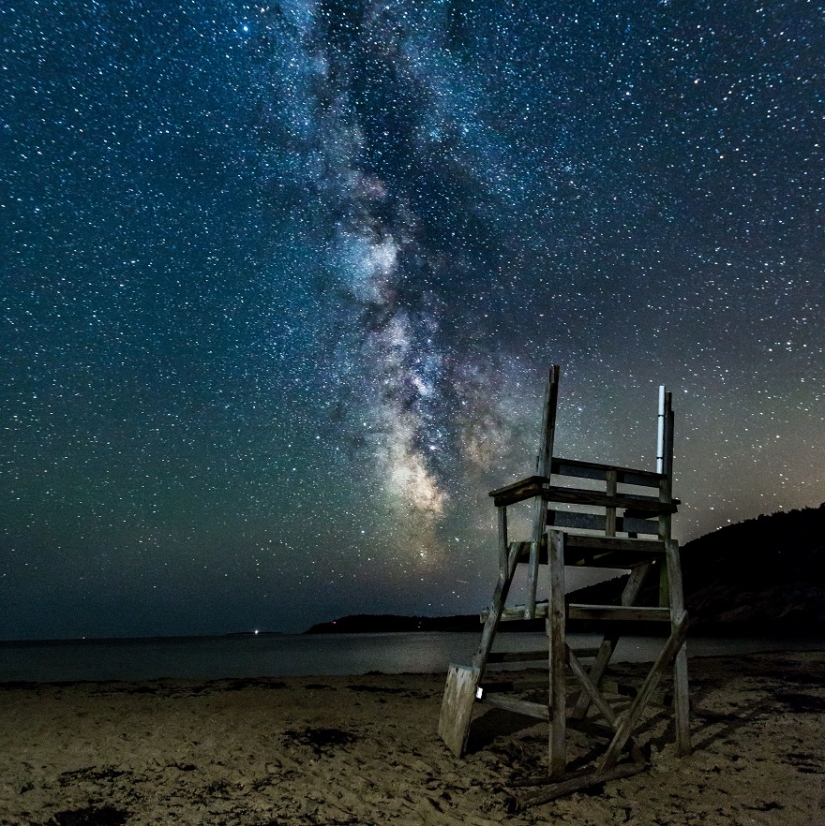 The seal got into the frame while the photographer was shooting the Milky Way The seal got into the frame while the photographer was shooting the Milky Way