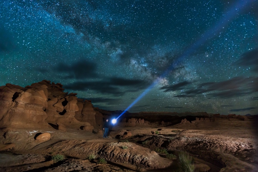 The seal got into the frame while the photographer was shooting the Milky Way The seal got into the frame while the photographer was shooting the Milky Way