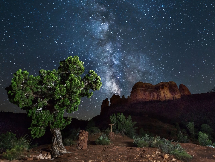 The seal got into the frame while the photographer was shooting the Milky Way The seal got into the frame while the photographer was shooting the Milky Way