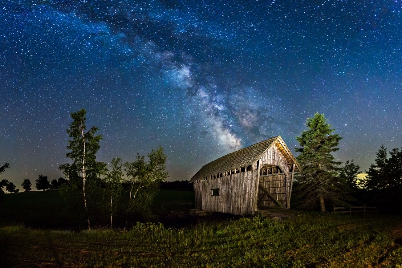 The seal got into the frame while the photographer was shooting the Milky Way The seal got into the frame while the photographer was shooting the Milky Way