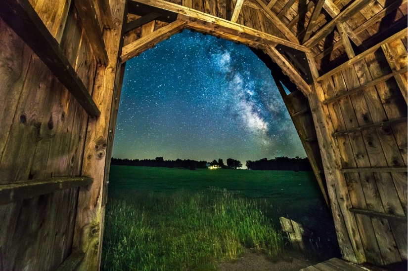 The seal got into the frame while the photographer was shooting the Milky Way The seal got into the frame while the photographer was shooting the Milky Way