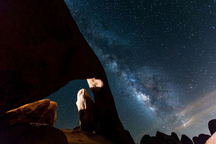 The seal got into the frame while the photographer was shooting the Milky Way The seal got into the frame while the photographer was shooting the Milky Way