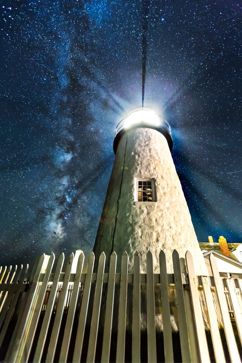 The seal got into the frame while the photographer was shooting the Milky Way The seal got into the frame while the photographer was shooting the Milky Way