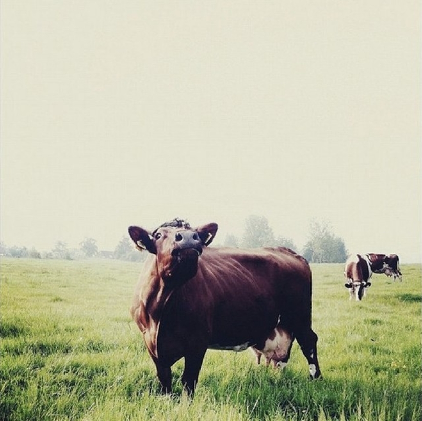 The story of an IT engineer who gave up everything and became a photographer The story of an IT engineer who gave up everything and became a photographer