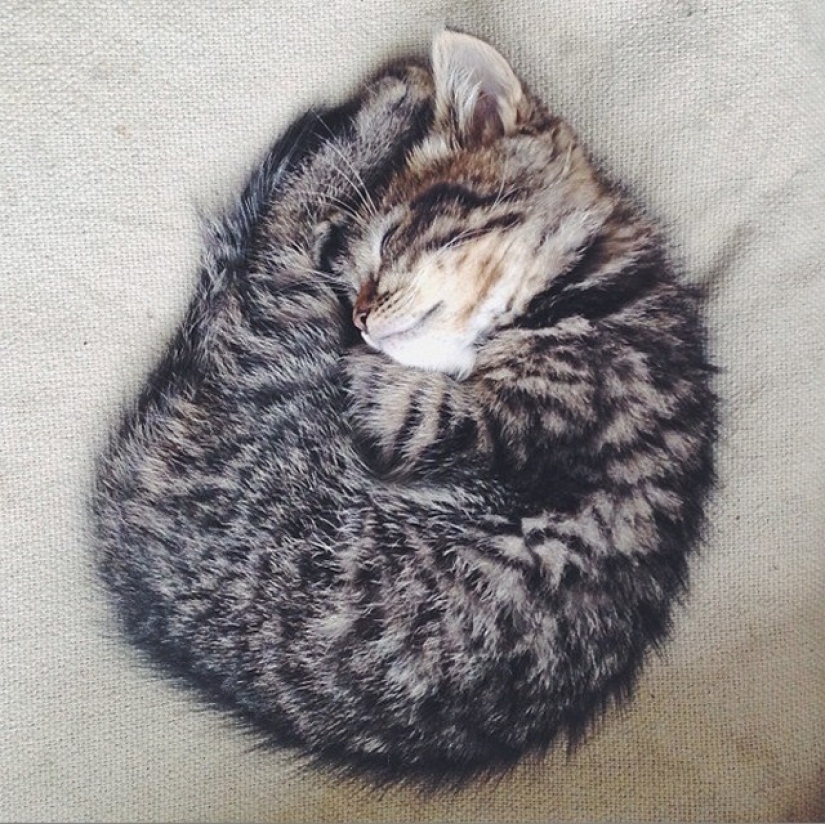 The story of an IT engineer who gave up everything and became a photographer The story of an IT engineer who gave up everything and became a photographer