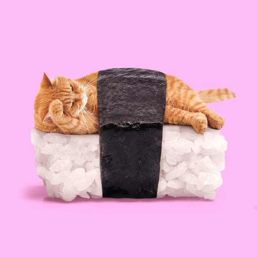 The surreal side of ordinary objects in the collages of the Mexican Paul Fuentes