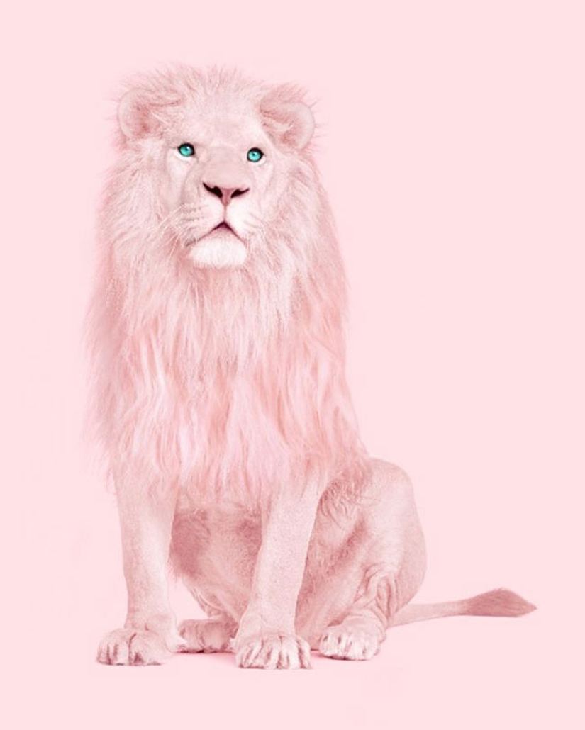 The surreal side of ordinary objects in the collages of the Mexican Paul Fuentes