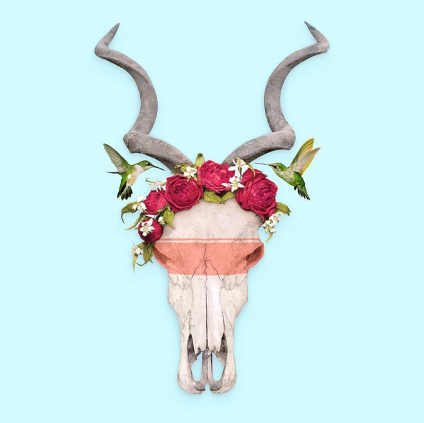 The surreal side of ordinary objects in the collages of the Mexican Paul Fuentes