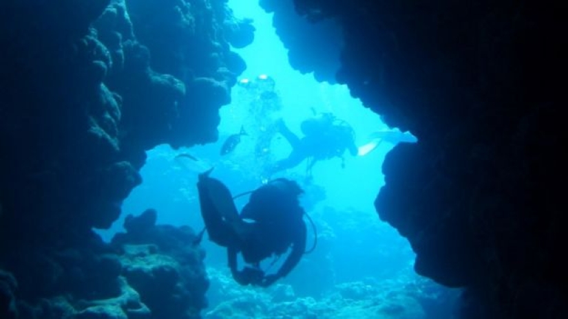 The Underwater odyssey of a lost camera: how three years later the camera returned to the owner