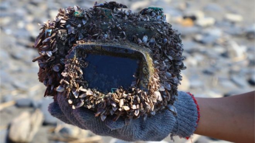 The Underwater odyssey of a lost camera: how three years later the camera returned to the owner