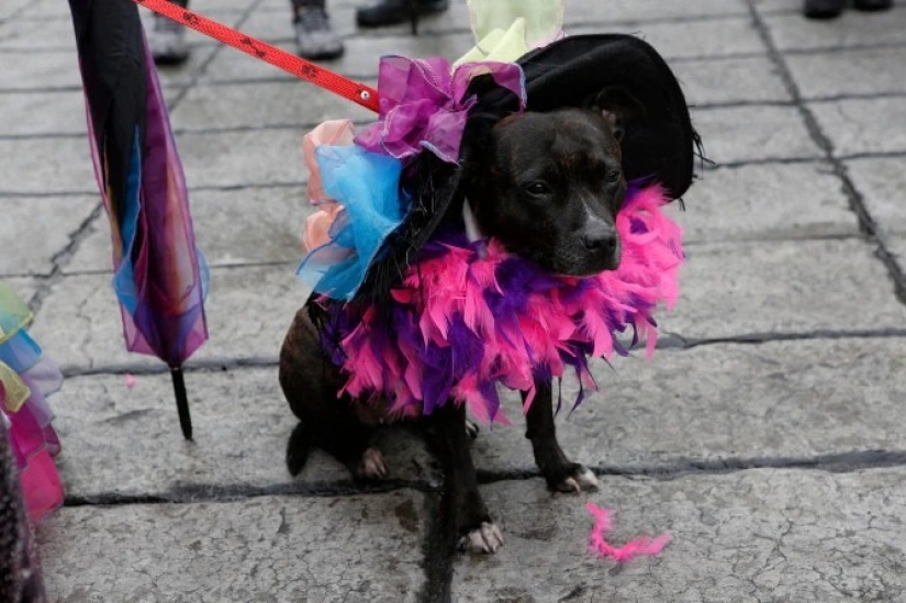 The Walking Dead: a traditional parade in honor of the Day of the Dead was held in Mexico