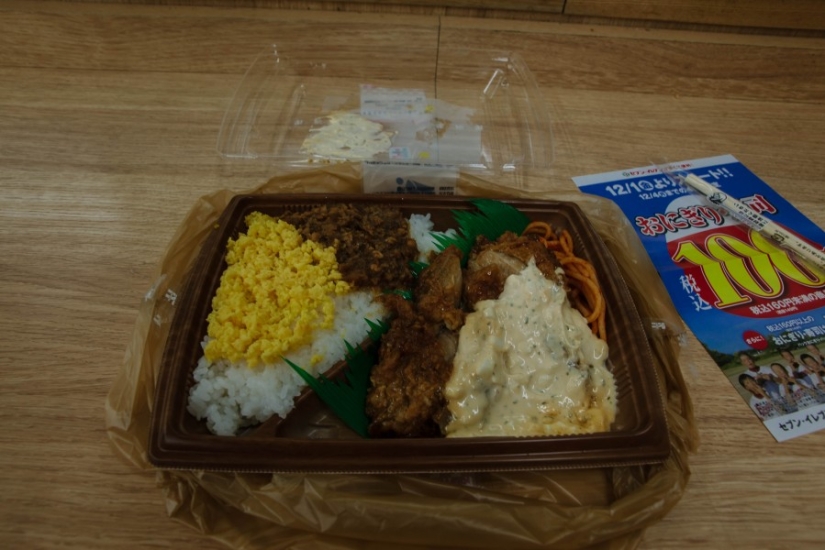 The whole of Japan for a thousand dollars: instructions of a professional traveler