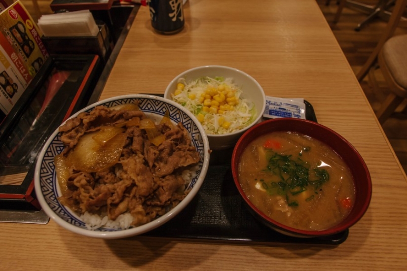 The whole of Japan for a thousand dollars: instructions of a professional traveler