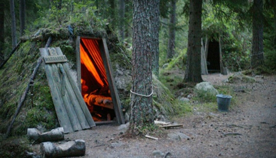 The wildest hotel in the forests of Sweden