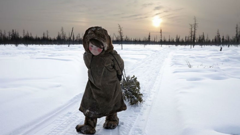 The winners of the Siena International Photo Awards 2017 photo contest have been announced