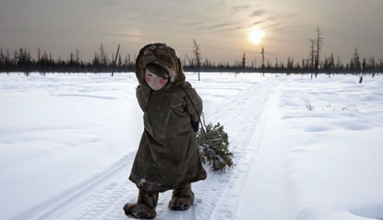 The winners of the Siena International Photo Awards 2017 photo contest have been announced