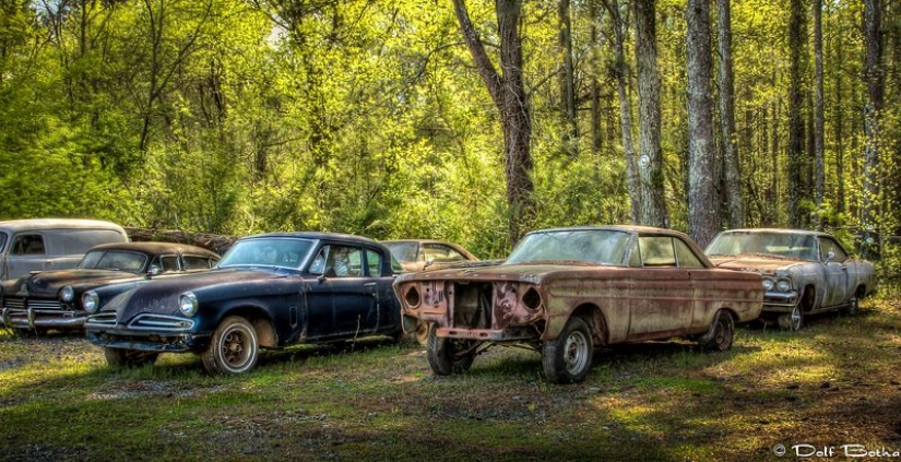The world's largest cemetery of old cars The world's largest cemetery of old cars