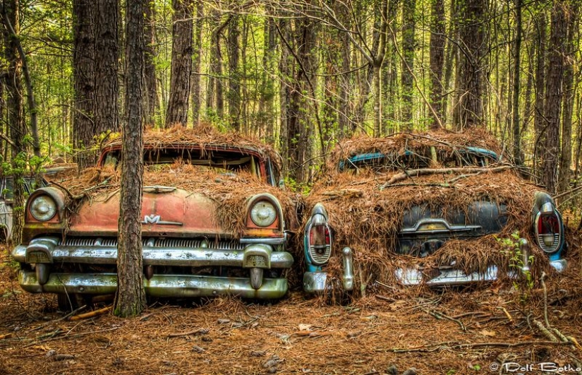 The world's largest cemetery of old cars The world's largest cemetery of old cars