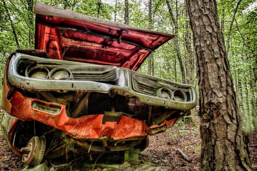 The world's largest cemetery of old cars The world's largest cemetery of old cars