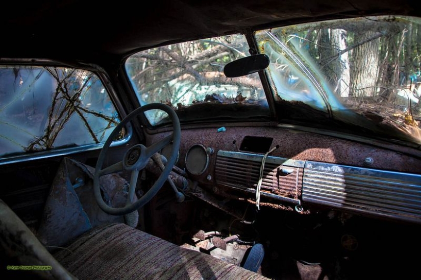The world's largest cemetery of old cars The world's largest cemetery of old cars