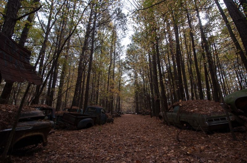 The world's largest cemetery of old cars The world's largest cemetery of old cars