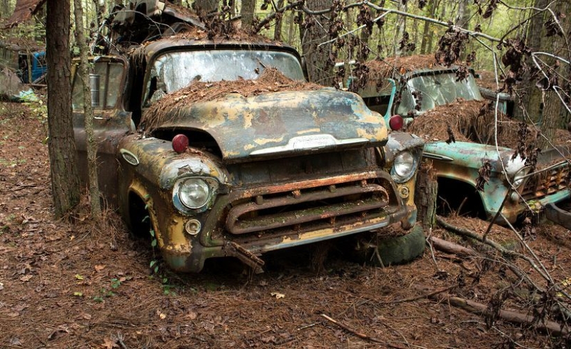 The world's largest cemetery of old cars The world's largest cemetery of old cars