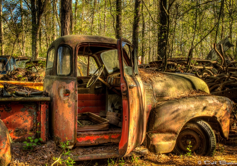 The world's largest cemetery of old cars The world's largest cemetery of old cars