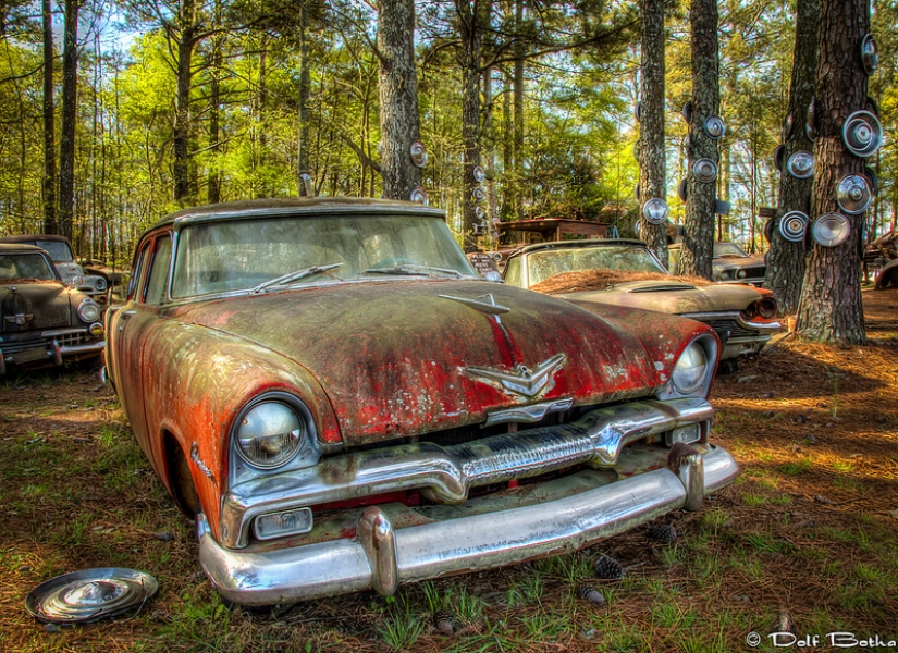 The world's largest cemetery of old cars The world's largest cemetery of old cars
