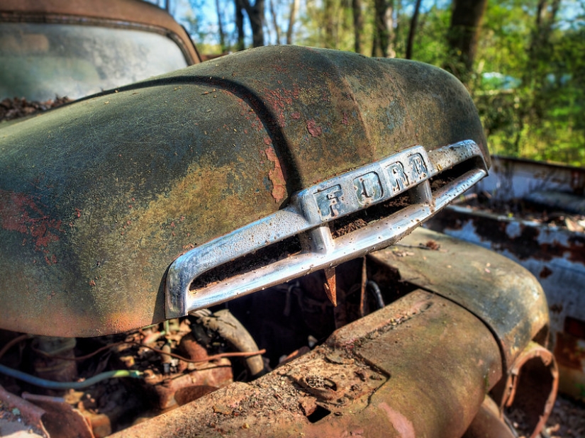The world's largest cemetery of old cars The world's largest cemetery of old cars