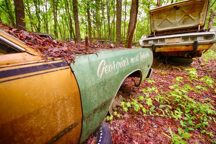 The world's largest cemetery of old cars The world's largest cemetery of old cars