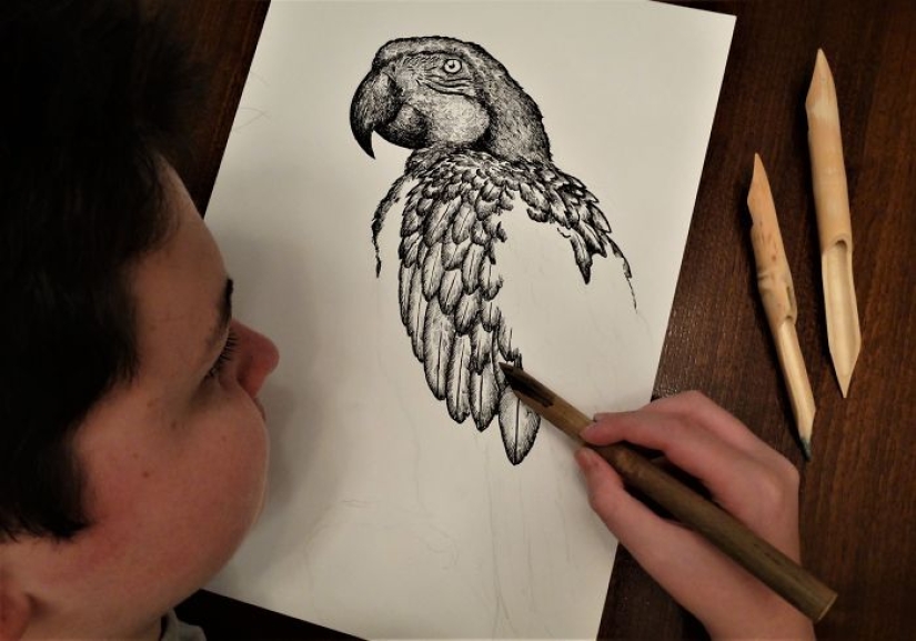 The young Serb has been drawing since the age of two and is already illustrating encyclopedias The young Serb has been drawing since the age of two and is already illustrating encyclopedias