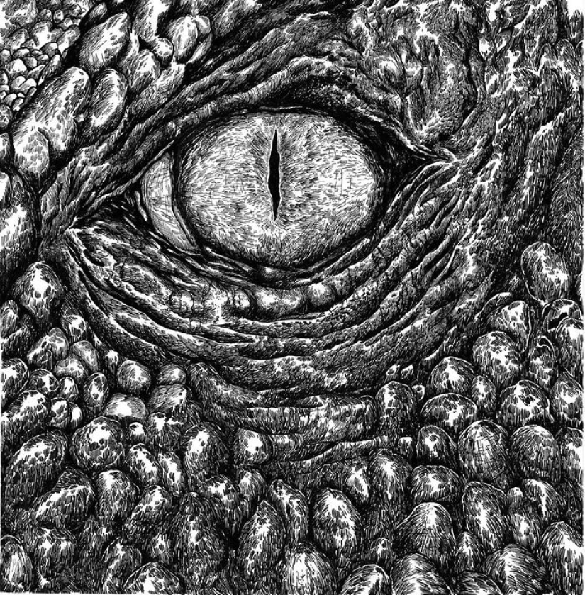 The young Serb has been drawing since the age of two and is already illustrating encyclopedias The young Serb has been drawing since the age of two and is already illustrating encyclopedias