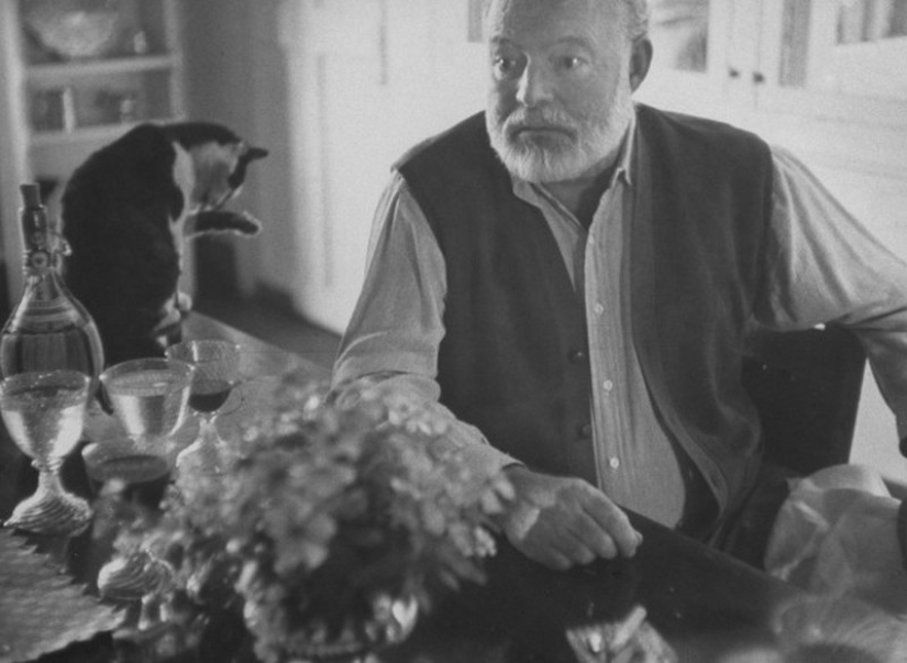 There is a cat behind every great man