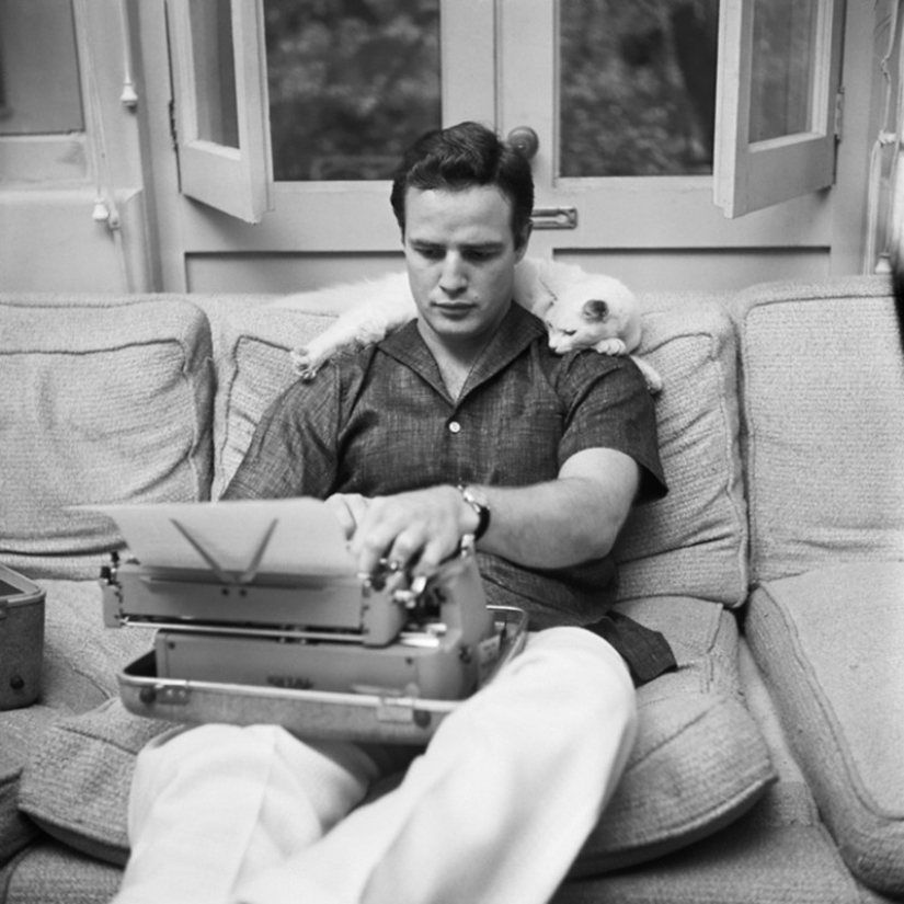 There is a cat behind every great man