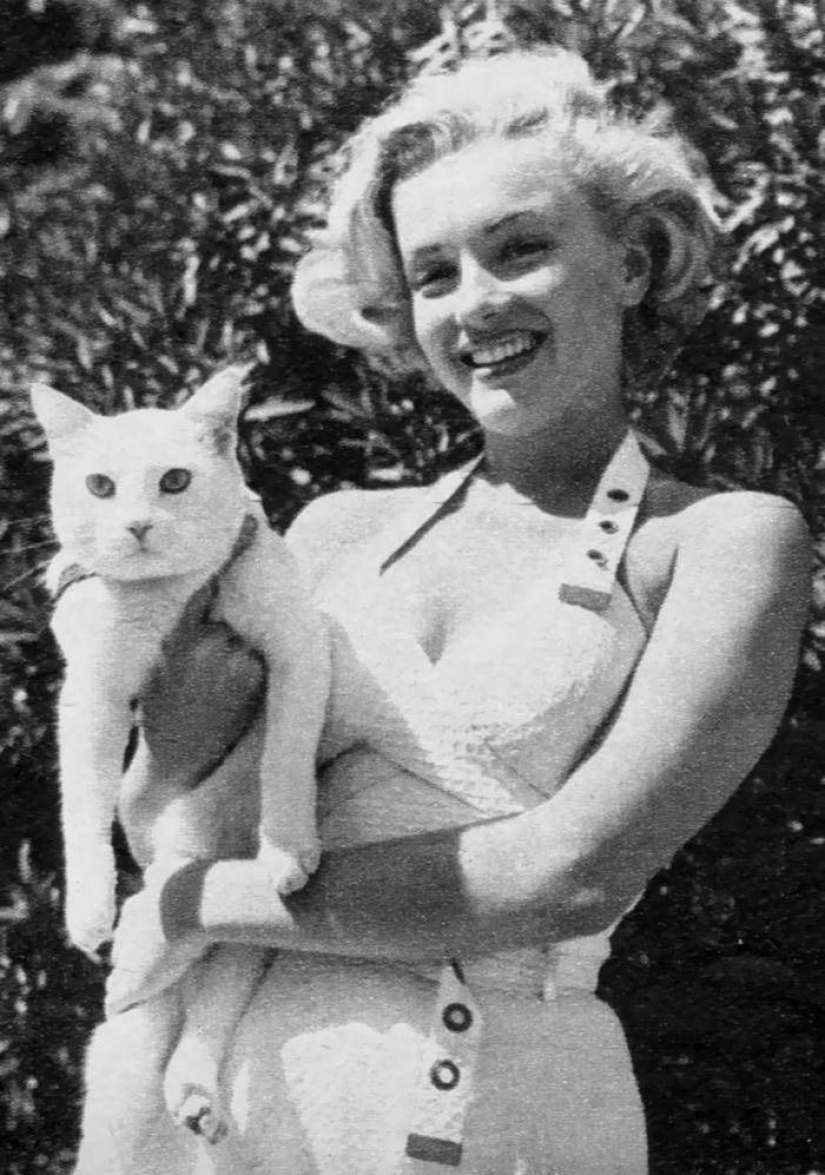 There is a cat behind every great man