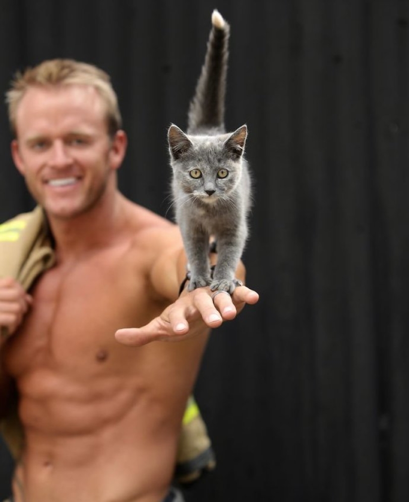 These photos will light a fire in hearts: Australian firefighters in charity calendar