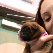 These spouses successfully cloned their dog after his death