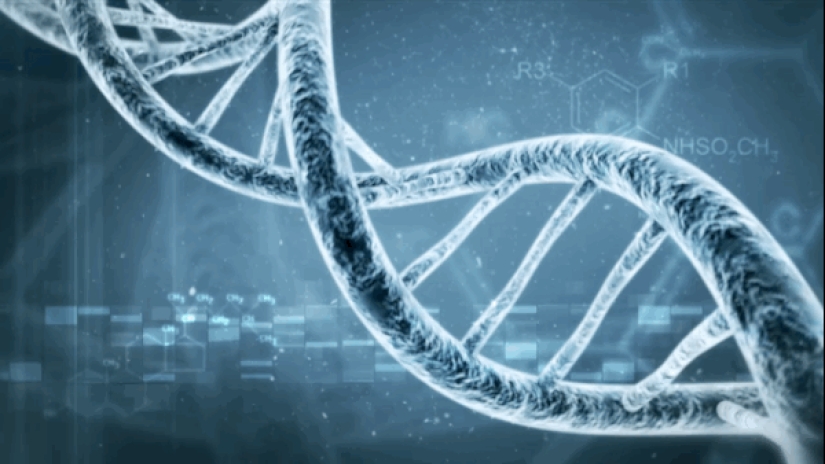 These spouses successfully cloned their dog after his death