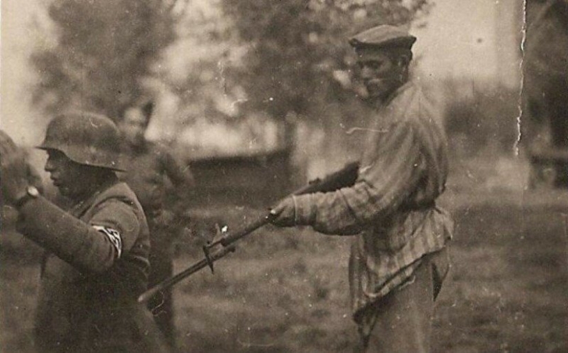 "Think how we died": a horror story in the Dachau concentration camp